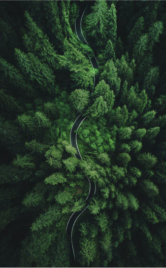path To Net Zero Mob path To Net Zero Mob