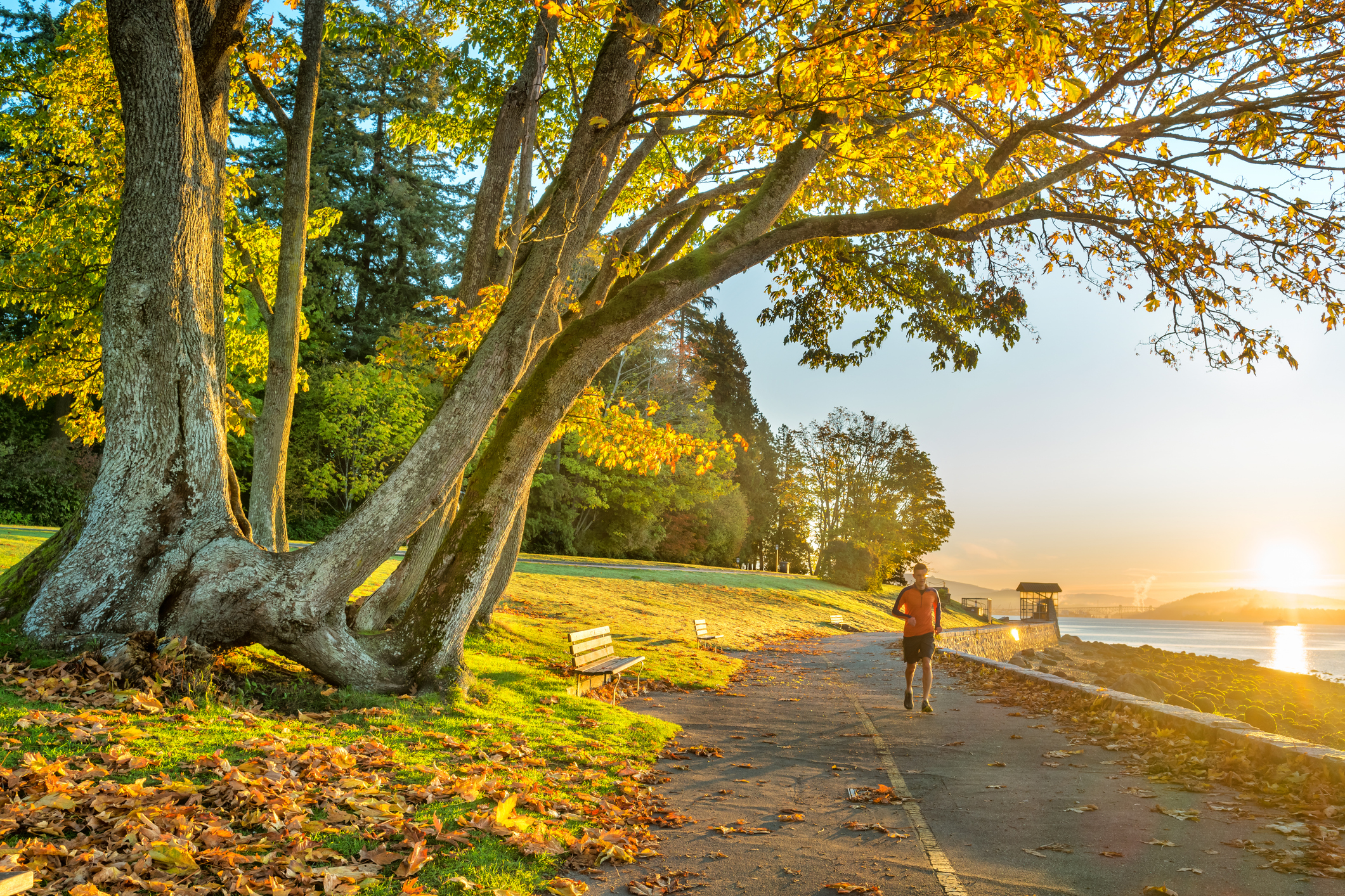 Stanley Park Seawall Trail Vancouver America